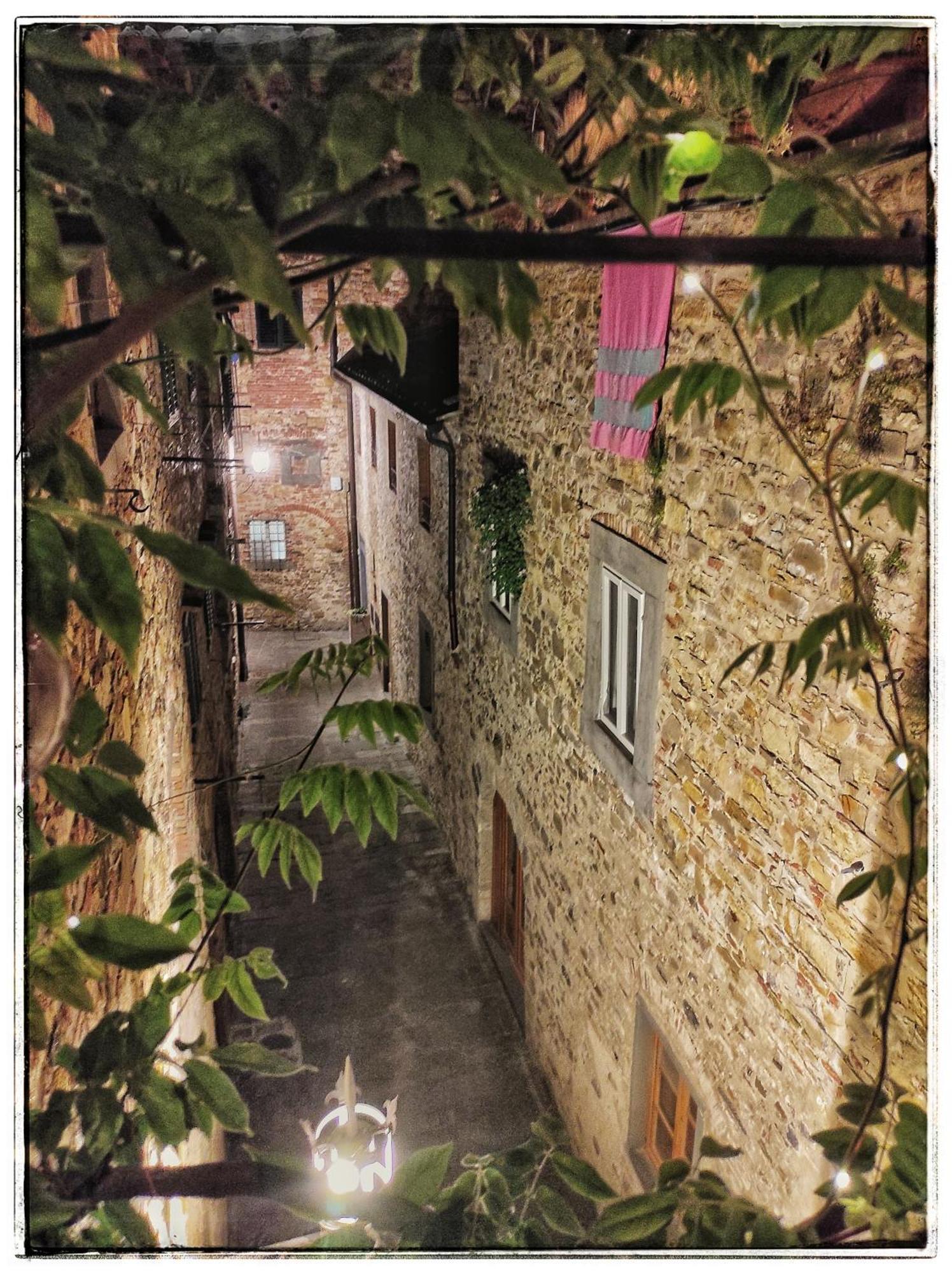 Le Terrazze Del Chianti B&B Residenza D'Epoca E Di Charme San Donato in Poggio Dış mekan fotoğraf